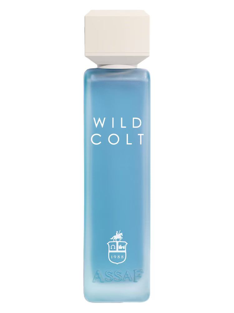 Wild Colt Assaf