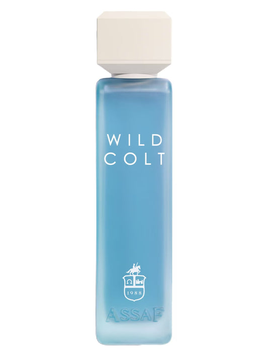Wild Colt Assaf